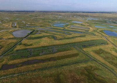 Aerial Survey of Marshes