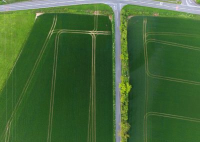 Agricultural Drone Surveys